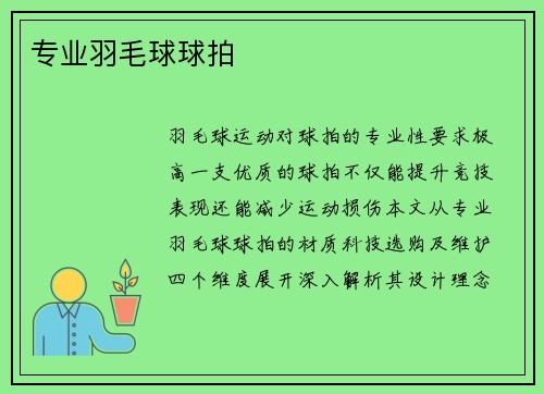 专业羽毛球球拍