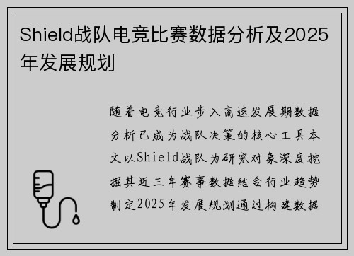 Shield战队电竞比赛数据分析及2025年发展规划